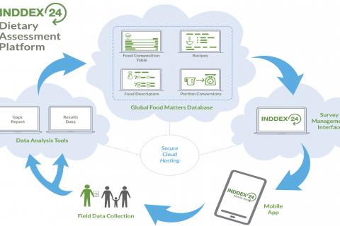 INDDEX24 graphic